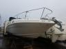 SEARAY - BOAT