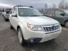 SUBARU - FORESTER