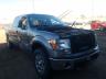 FORD - F-150