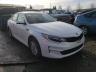 KIA - OPTIMA
