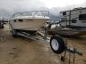 SEARAY - BOAT