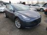 TESLA - MODEL Y