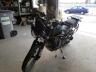 TRIUMPH - TIGER