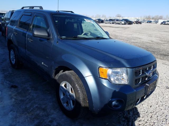 Ford Escape Blue 2010