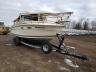 SEARAY - BOAT