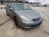 LEXUS - ES