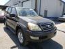 LEXUS - GX
