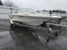 SEARAY - BOAT