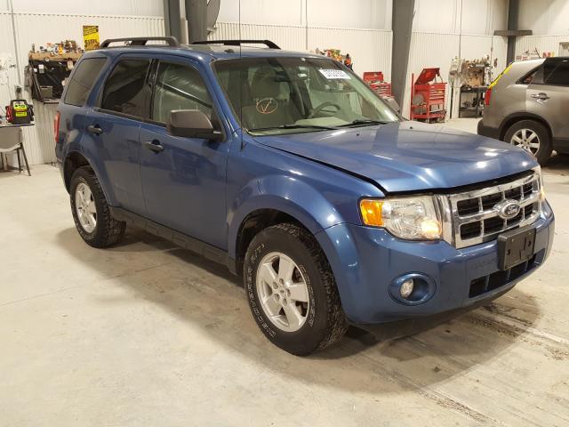 Ford Escape Blue 2010