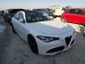 ALFA ROMEO - GIULIA