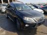 LEXUS - RX350