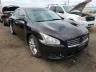 NISSAN - MAXIMA