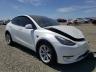 TESLA - MODEL Y