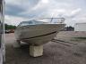 SEARAY - BOAT