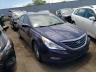 HYUNDAI - SONATA