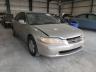 HONDA - ACCORD