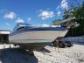 SEARAY - BOAT