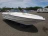 SEARAY - BOAT