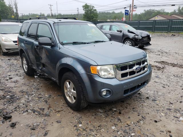 Ford Escape Blue 2010