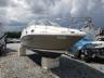 SEARAY - 240 SUNDAN