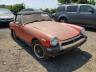 MG - MIDGET