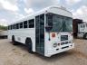 BLUEBIRD - SCHOOL BUS