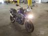 TRIUMPH - TIGER