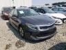 KIA - OPTIMA