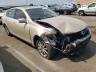LEXUS - GS350