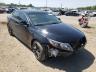 KIA - OPTIMA