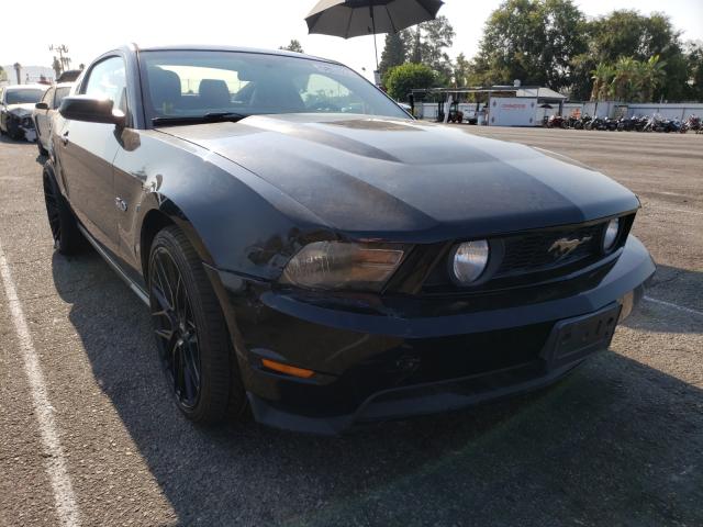 Mustang 2011 Gray