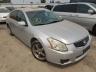 NISSAN - MAXIMA