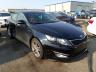 KIA - OPTIMA