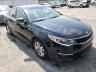 KIA - OPTIMA