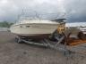 SEARAY - BOAT