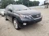 LEXUS - RX450