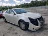 CADILLAC - CTS