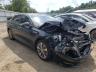 KIA - OPTIMA