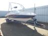 SEARAY - BOAT