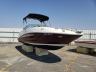 SEARAY - BOAT