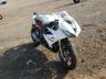 TRIUMPH - DAYTONA