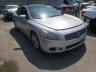 NISSAN - MAXIMA