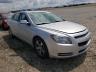 CHEVROLET - MALIBU