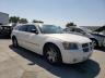 DODGE - MAGNUM