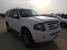 FORD - EXPEDITION