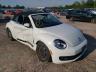 usados VOLKSWAGEN BEETLE