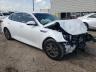 KIA - OPTIMA