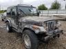 JEEP - WRANGLER