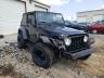 JEEP - WRANGLER