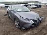 LEXUS - NX